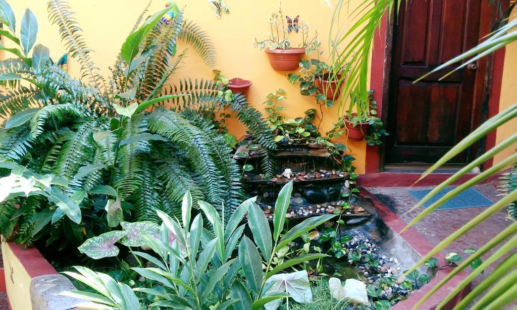Hotel La Cabana Puerto Ángel Dış mekan fotoğraf