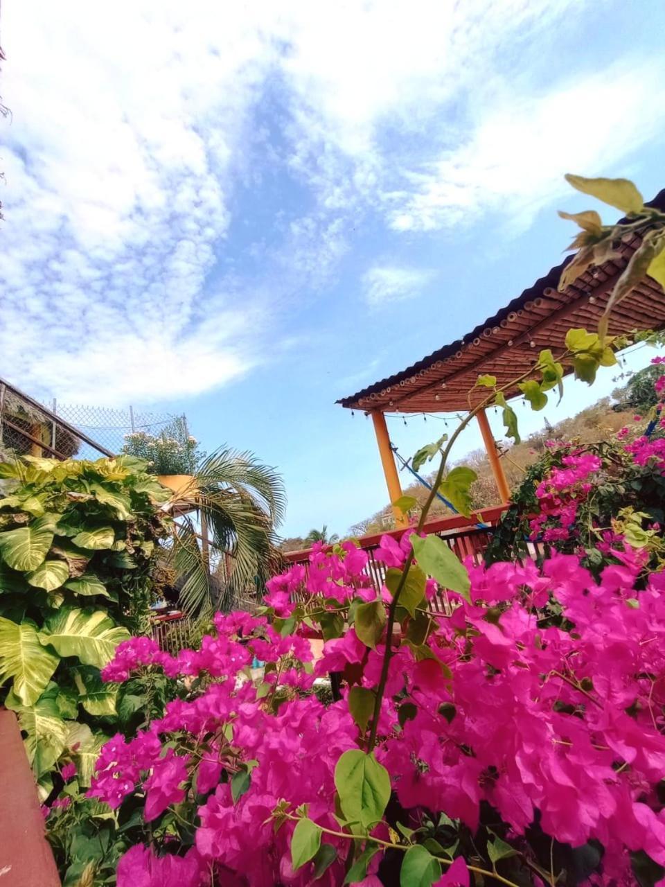 Hotel La Cabana Puerto Ángel Dış mekan fotoğraf