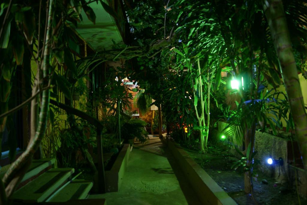 Hotel La Cabana Puerto Ángel Dış mekan fotoğraf